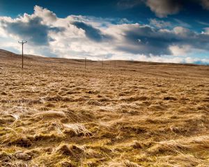 Preview wallpaper field, hay, agriculture, columns, wires