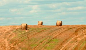 Preview wallpaper field, hay, bales, summer, landscape