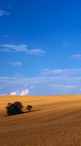Preview wallpaper field, hay, grass, summer, trees, agriculture