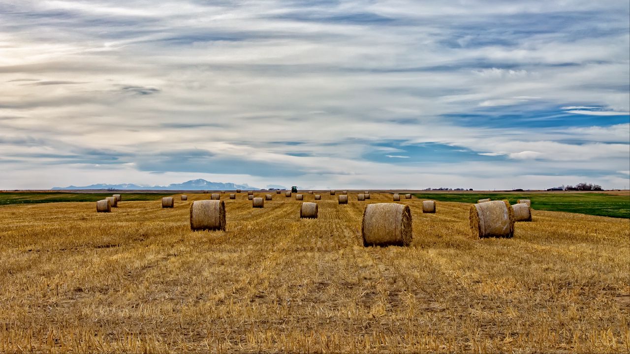 Wallpaper field, hay, haystack, sky, clouds
