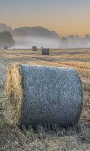 Preview wallpaper field, hay, haystacks, fog, nature