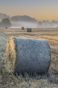 Preview wallpaper field, hay, haystacks, fog, nature