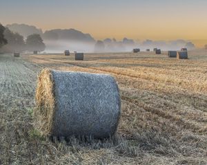 Preview wallpaper field, hay, haystacks, fog, nature