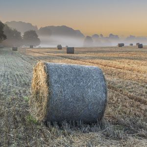 Preview wallpaper field, hay, haystacks, fog, nature