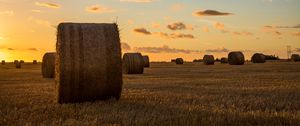 Preview wallpaper field, hay, horizon, sunset