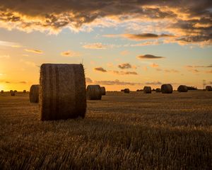 Preview wallpaper field, hay, horizon, sunset