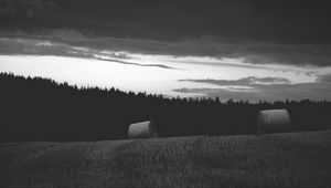 Preview wallpaper field, hay, stack, trees, black and white