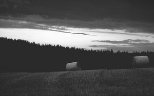 Preview wallpaper field, hay, stack, trees, black and white