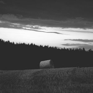 Preview wallpaper field, hay, stack, trees, black and white