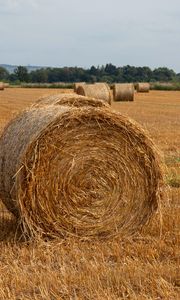 Preview wallpaper field, hay, trees, sky, landscape