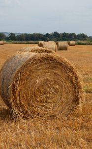 Preview wallpaper field, hay, trees, sky, landscape