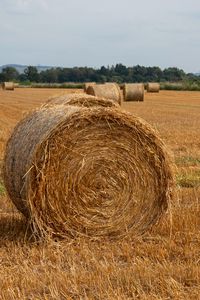Preview wallpaper field, hay, trees, sky, landscape