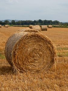 Preview wallpaper field, hay, trees, sky, landscape