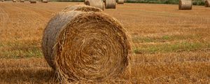 Preview wallpaper field, hay, trees, sky, landscape