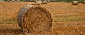 Preview wallpaper field, hay, trees, sky, landscape