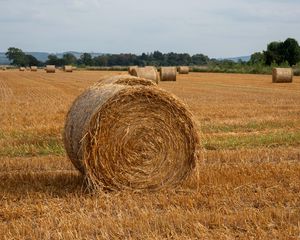 Preview wallpaper field, hay, trees, sky, landscape