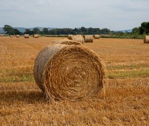Preview wallpaper field, hay, trees, sky, landscape