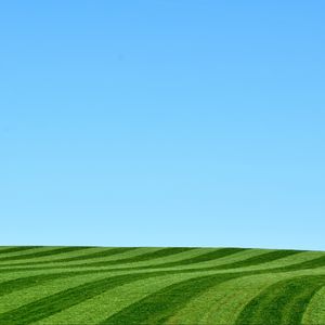 Preview wallpaper field, hill, grass, stripes, nature, minimalism