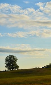 Preview wallpaper field, hill, tree, greenery, nature