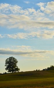 Preview wallpaper field, hill, tree, greenery, nature