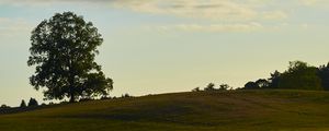 Preview wallpaper field, hill, tree, greenery, nature