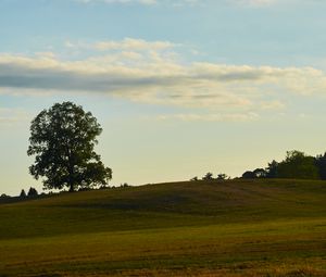 Preview wallpaper field, hill, tree, greenery, nature