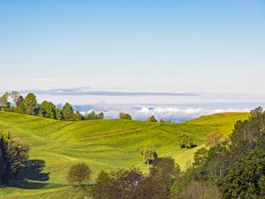 Preview wallpaper field, hill, trees, hut, path, sky