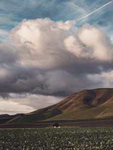 Preview wallpaper field, hills, clouds, landscape, relief
