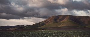 Preview wallpaper field, hills, clouds, landscape, relief