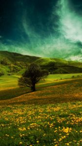 Preview wallpaper field, hills, flowers, landscape