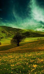 Preview wallpaper field, hills, flowers, landscape