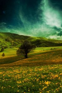 Preview wallpaper field, hills, flowers, landscape