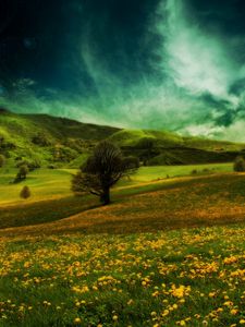 Preview wallpaper field, hills, flowers, landscape