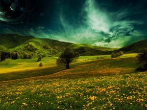 Preview wallpaper field, hills, flowers, landscape