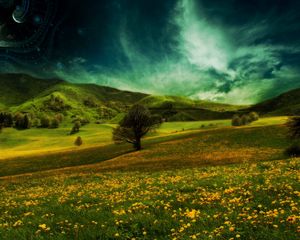 Preview wallpaper field, hills, flowers, landscape