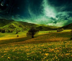 Preview wallpaper field, hills, flowers, landscape