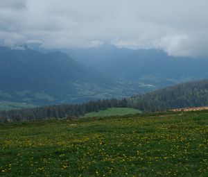 Preview wallpaper field, hills, forest, trees, nature, landscape