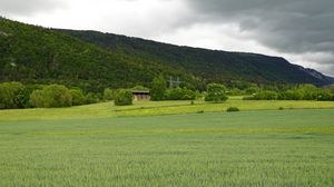 Preview wallpaper field, hills, landscape, greenery, green