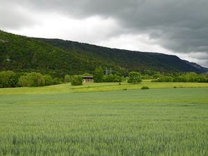 Preview wallpaper field, hills, landscape, greenery, green