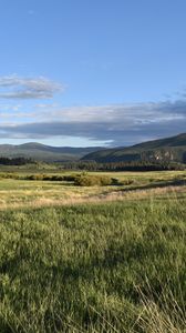 Preview wallpaper field, hills, landscape, nature