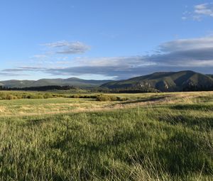 Preview wallpaper field, hills, landscape, nature