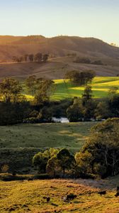 Preview wallpaper field, hills, light, trees, cows, nature