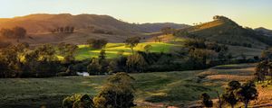 Preview wallpaper field, hills, light, trees, cows, nature