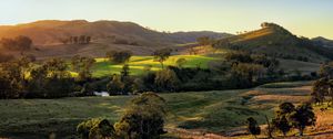 Preview wallpaper field, hills, light, trees, cows, nature