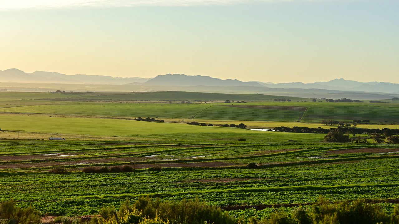 Wallpaper field, hills, nature, landscape