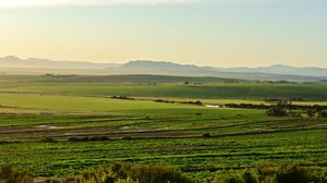 Preview wallpaper field, hills, nature, landscape