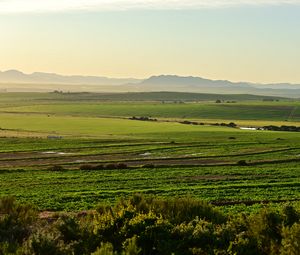 Preview wallpaper field, hills, nature, landscape