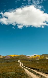 Preview wallpaper field, hills, path, landscape, nature