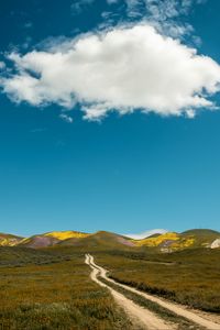 Preview wallpaper field, hills, path, landscape, nature