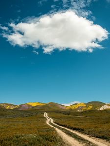 Preview wallpaper field, hills, path, landscape, nature